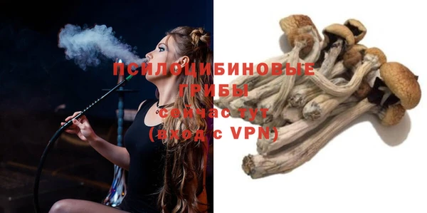 spice Медвежьегорск